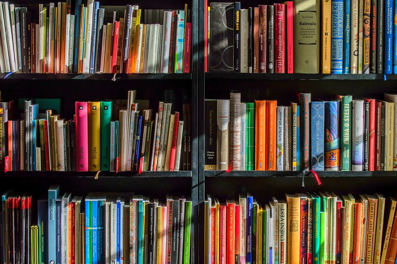 Bücher, Buchhandlung, Buch-1204029.jpg